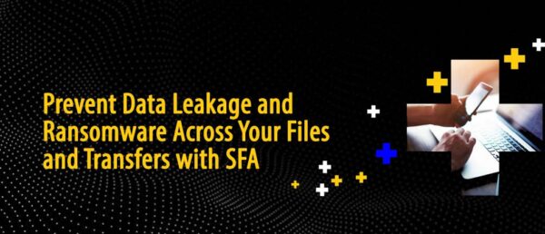 zonezero_header_SFA